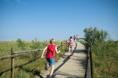 Der Weg zum Strand.